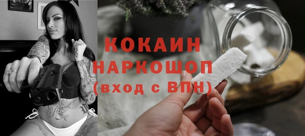 стафф Алексин