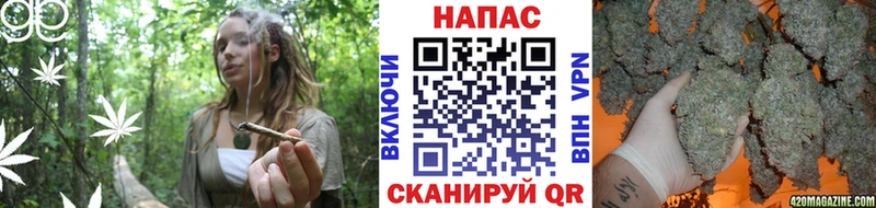 Шишки марихуана марихуана  дарнет шоп  Иннополис 
